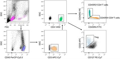 Naïve-memory regulatory T cells ratio is a prognostic biomarker for patients with acute ischemic stroke
